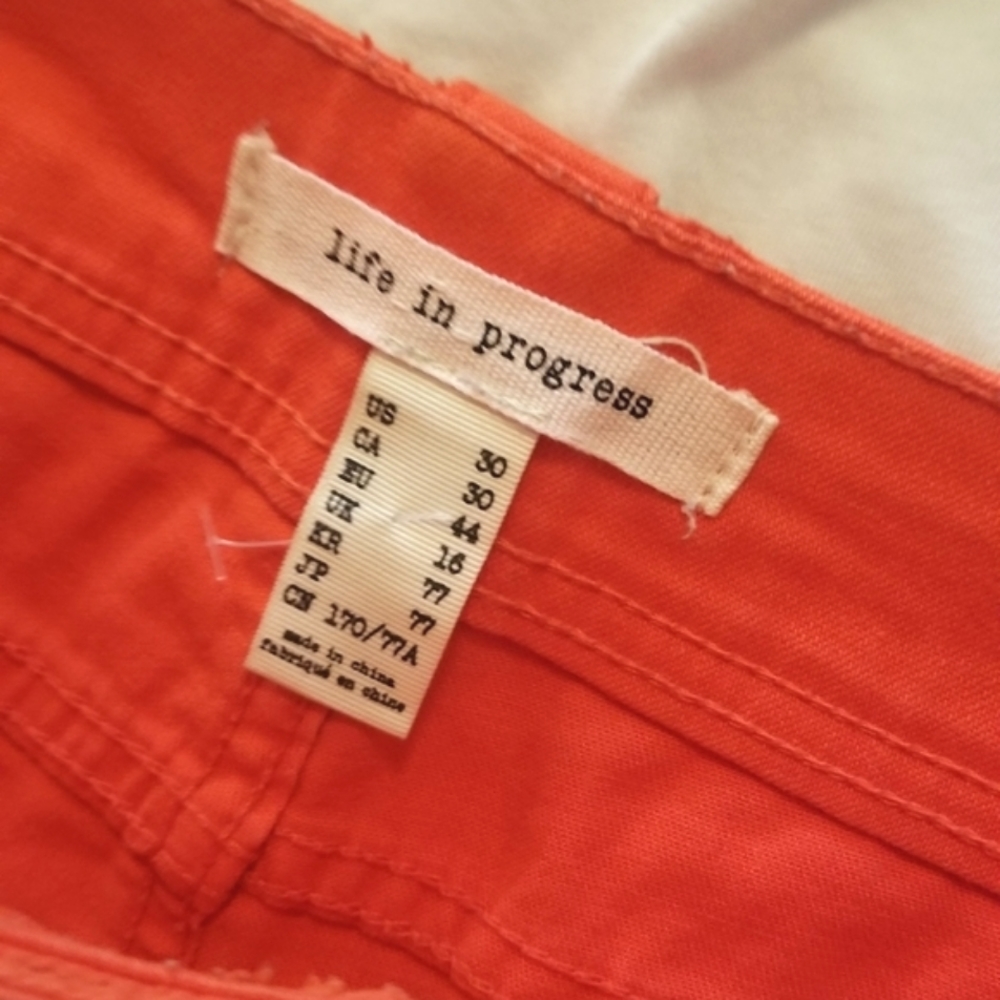 Life In Progress Shorts | SZ•30 - Picture 2 of 7